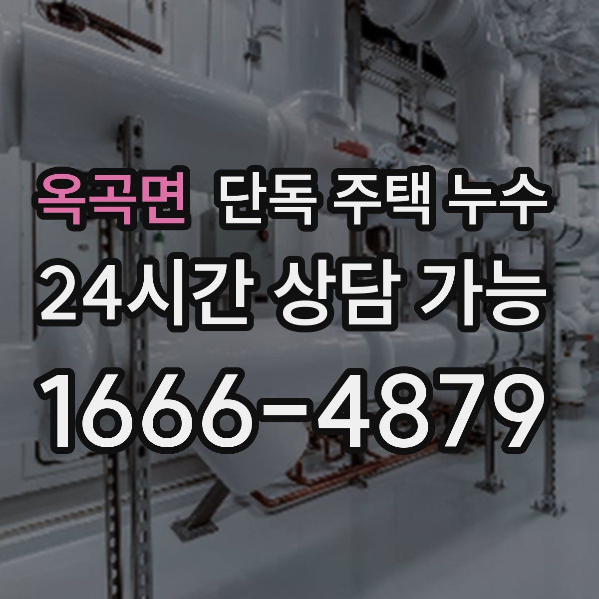 옥곡면 단독 주택 누수