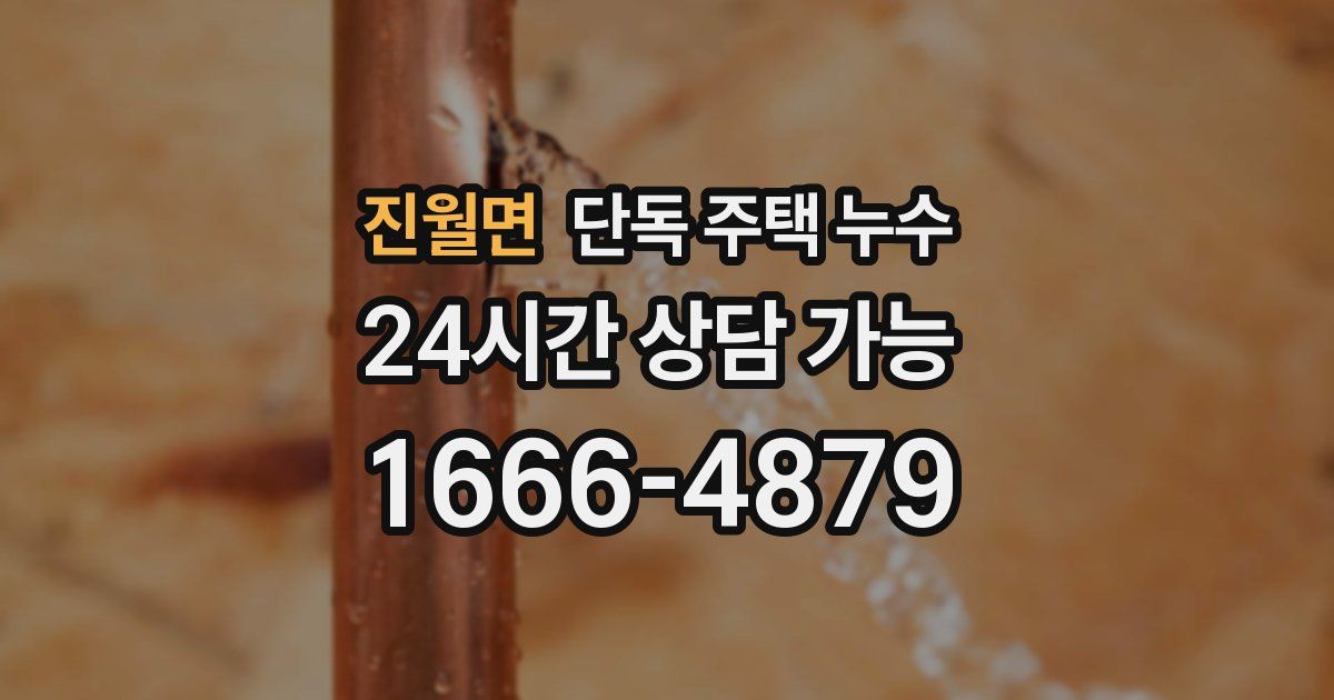 진월면 단독 주택 누수