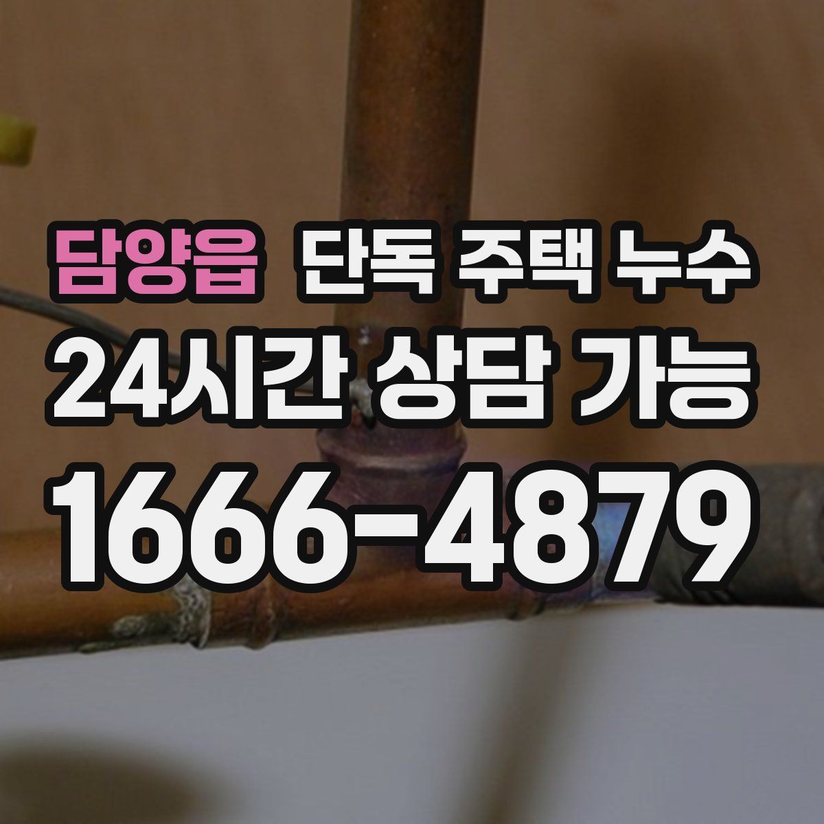 담양읍 단독 주택 누수