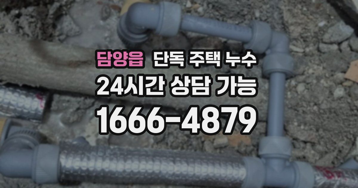 담양읍 단독 주택 누수