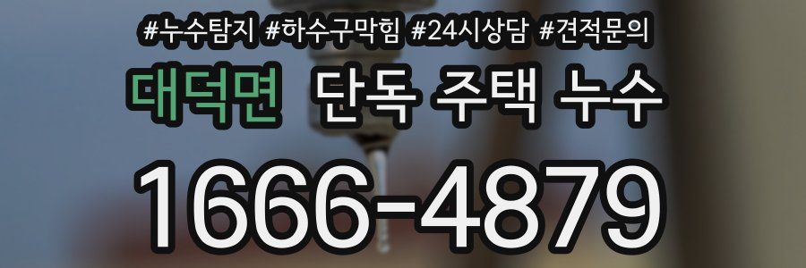 대덕면 단독 주택 누수