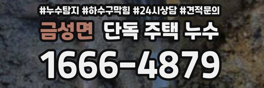 금성면 단독 주택 누수