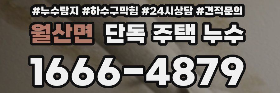 월산면 단독 주택 누수