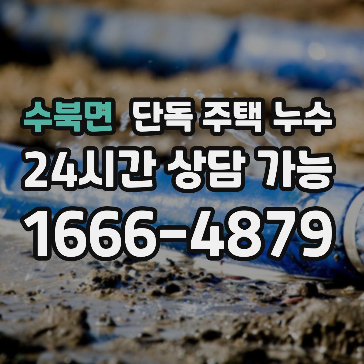 수북면 단독 주택 누수