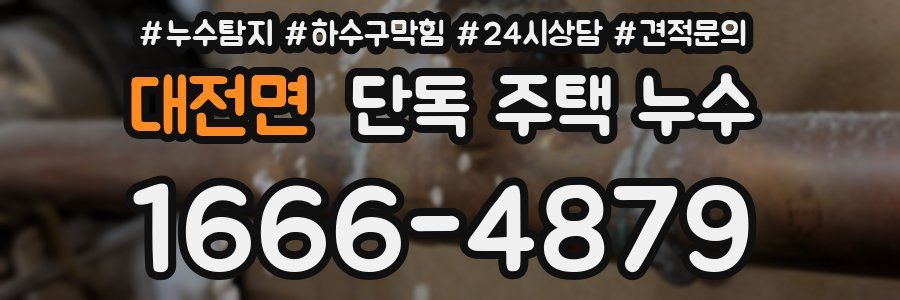 대전면 단독 주택 누수
