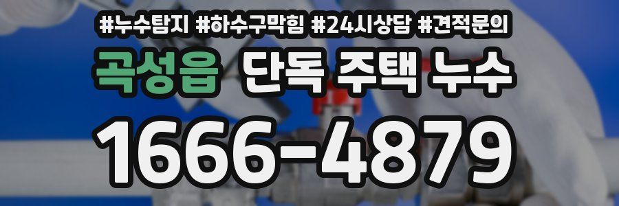 곡성읍 단독 주택 누수