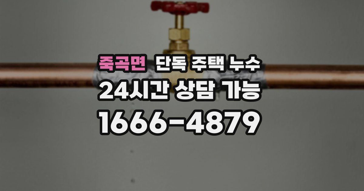 죽곡면 단독 주택 누수