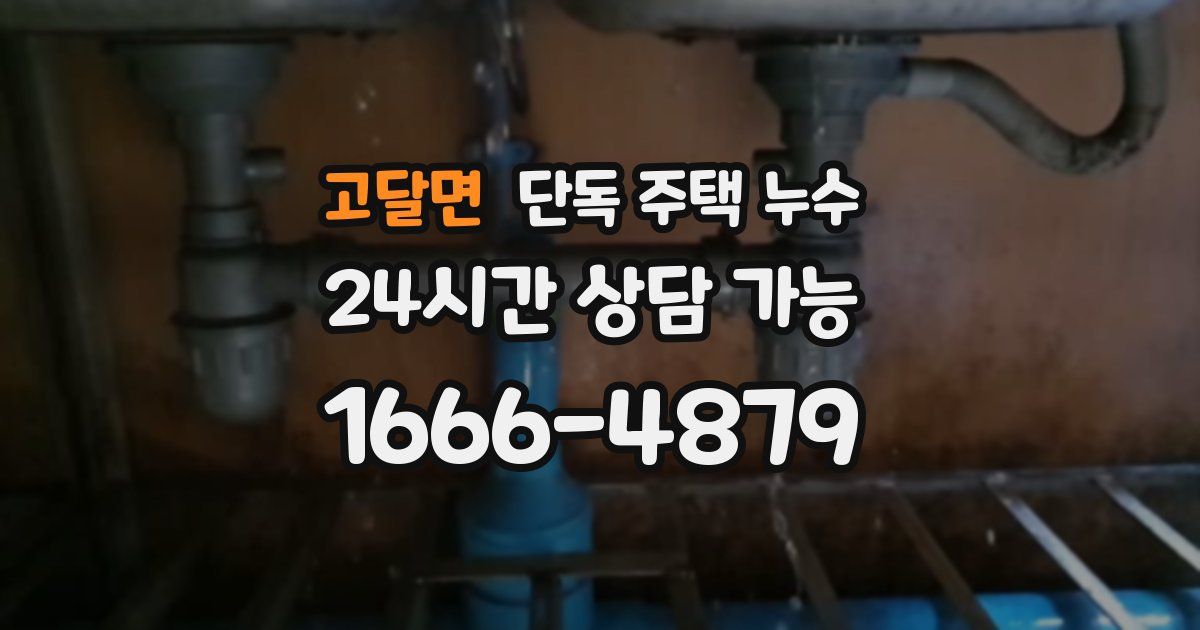 고달면 단독 주택 누수