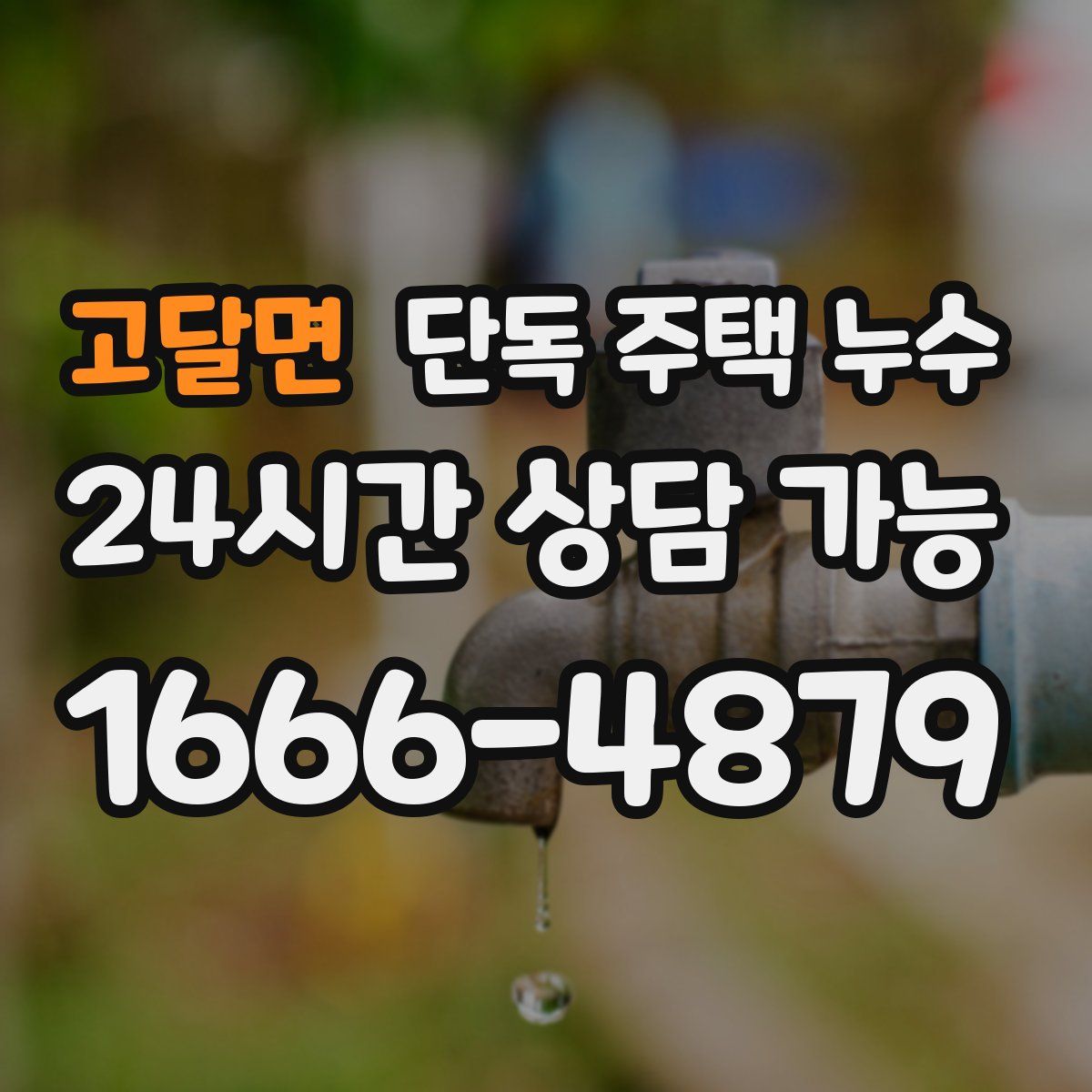 고달면 단독 주택 누수