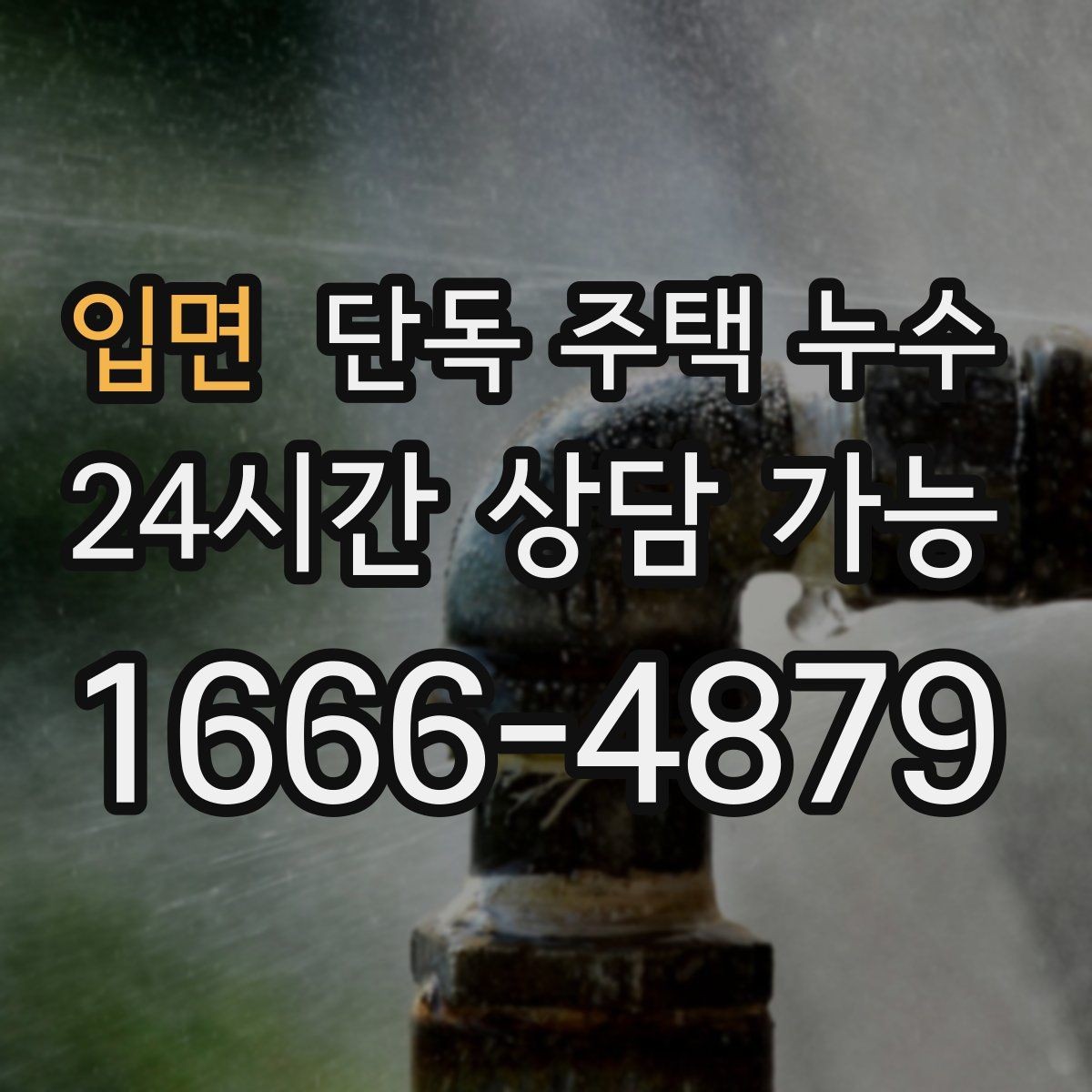 입면 단독 주택 누수 외벽 쪽 방이 더 축축한 이유