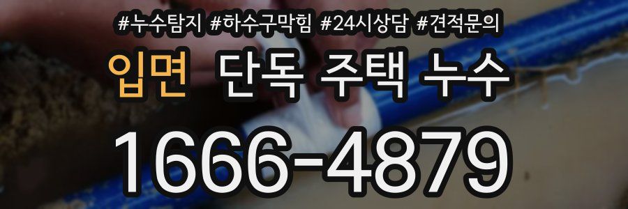 입면 단독 주택 누수