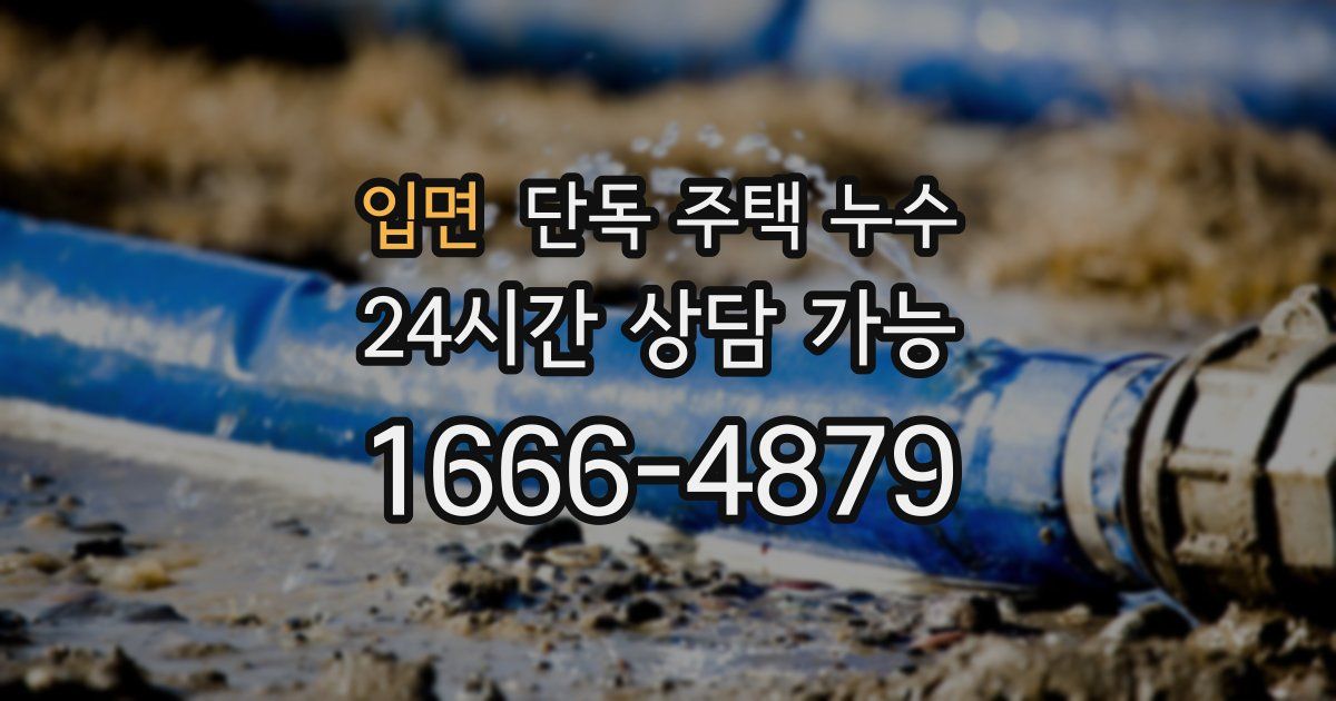 입면 단독 주택 누수