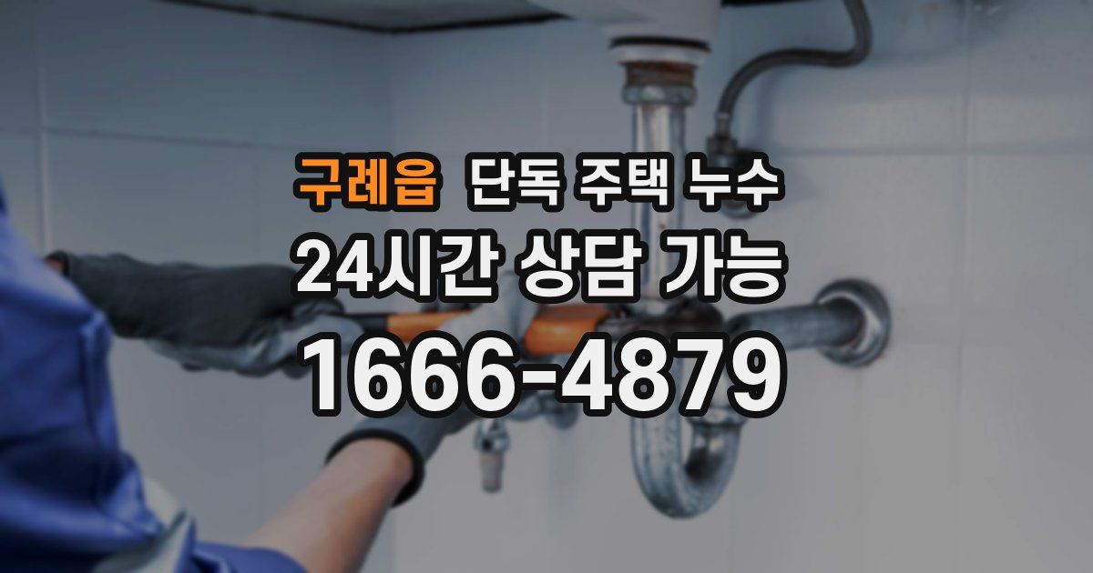 구례읍 단독 주택 누수