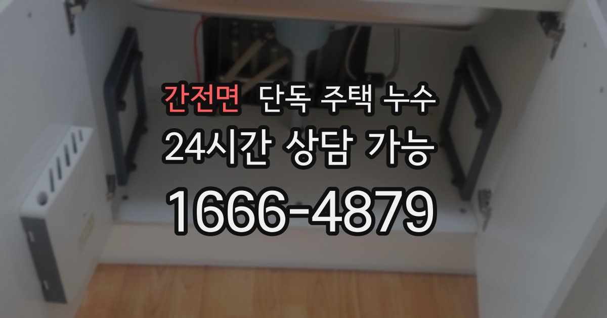 간전면 단독 주택 누수