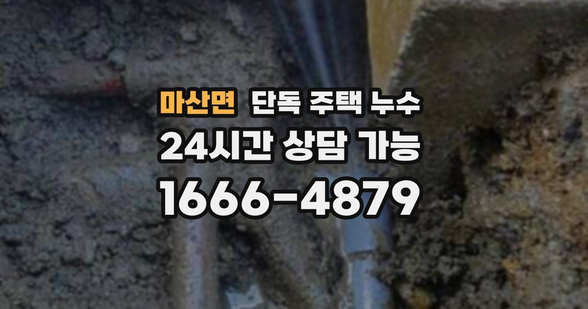 마산면 단독 주택 누수