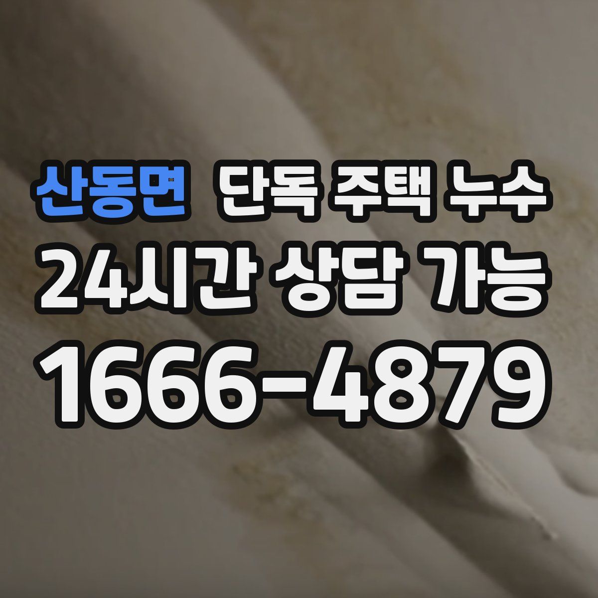 산동면 단독 주택 누수