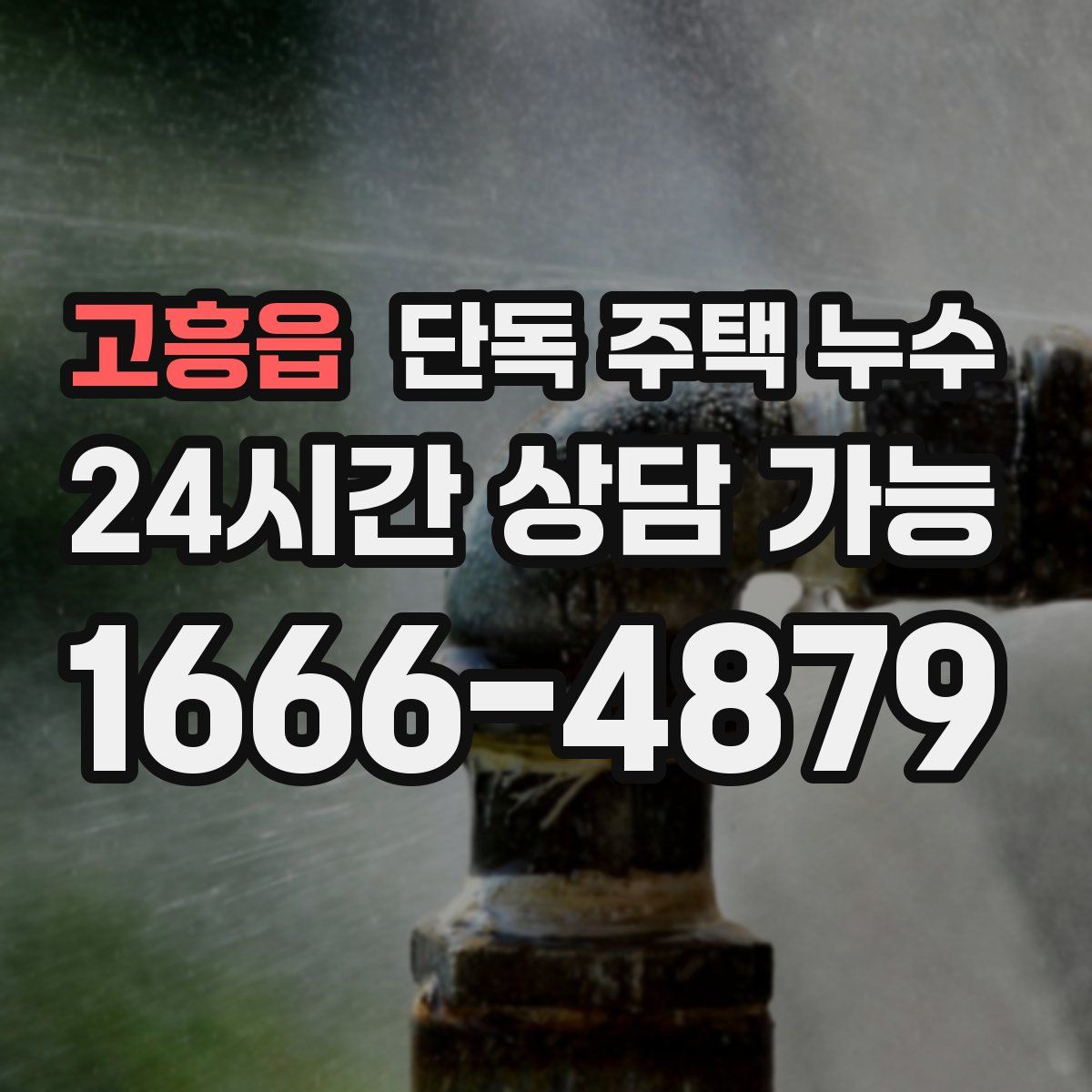 고흥읍 단독 주택 누수