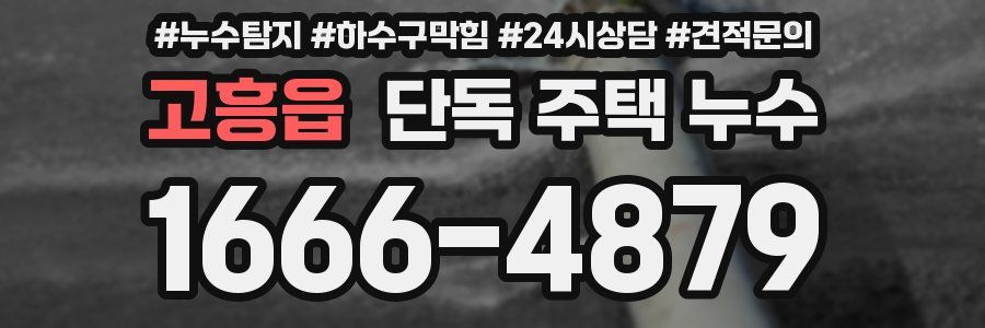 고흥읍 단독 주택 누수