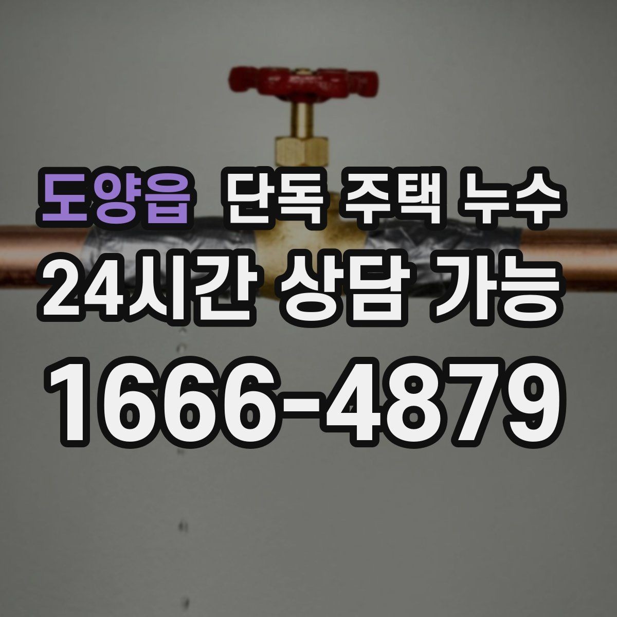 도양읍 단독 주택 누수 위층 없는 단독집도 욕실 누수가 생긴다