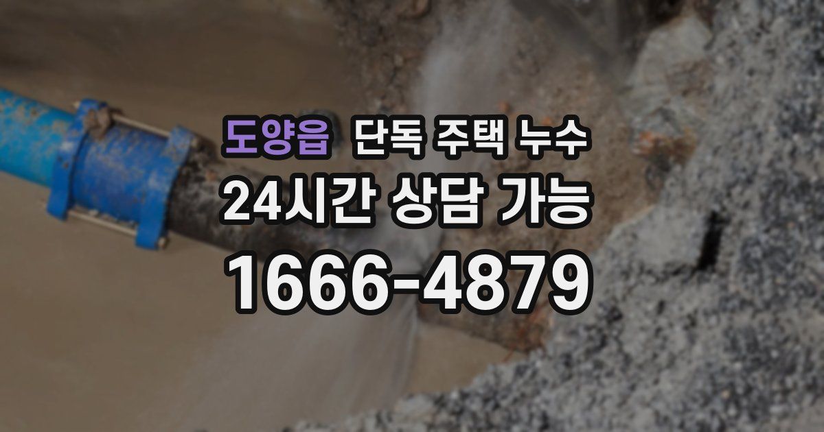 도양읍 단독 주택 누수