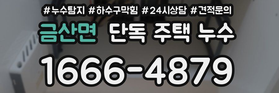 금산면 단독 주택 누수