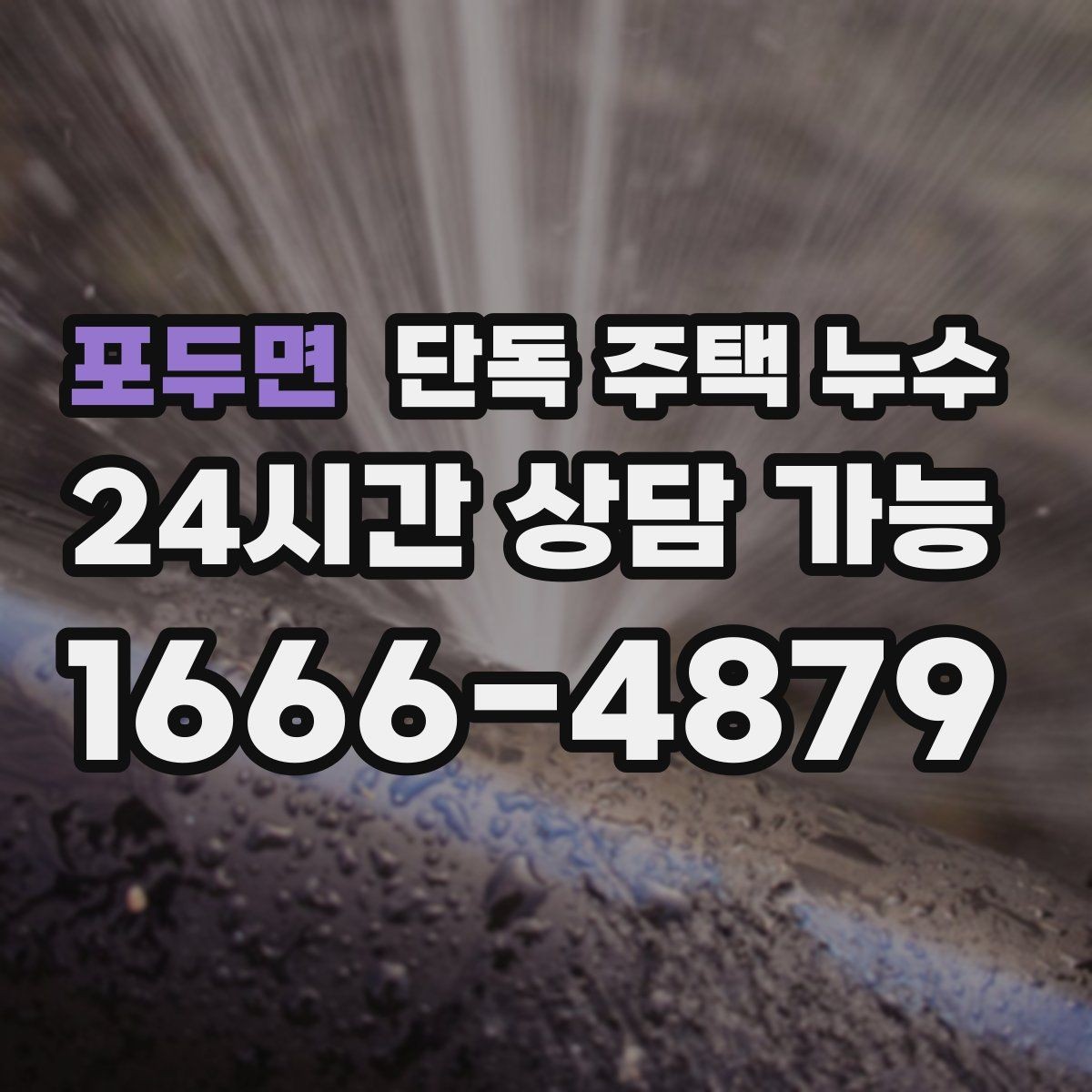 포두면 단독 주택 누수 습도 높은 날에만 곰팡이가 심해질 때