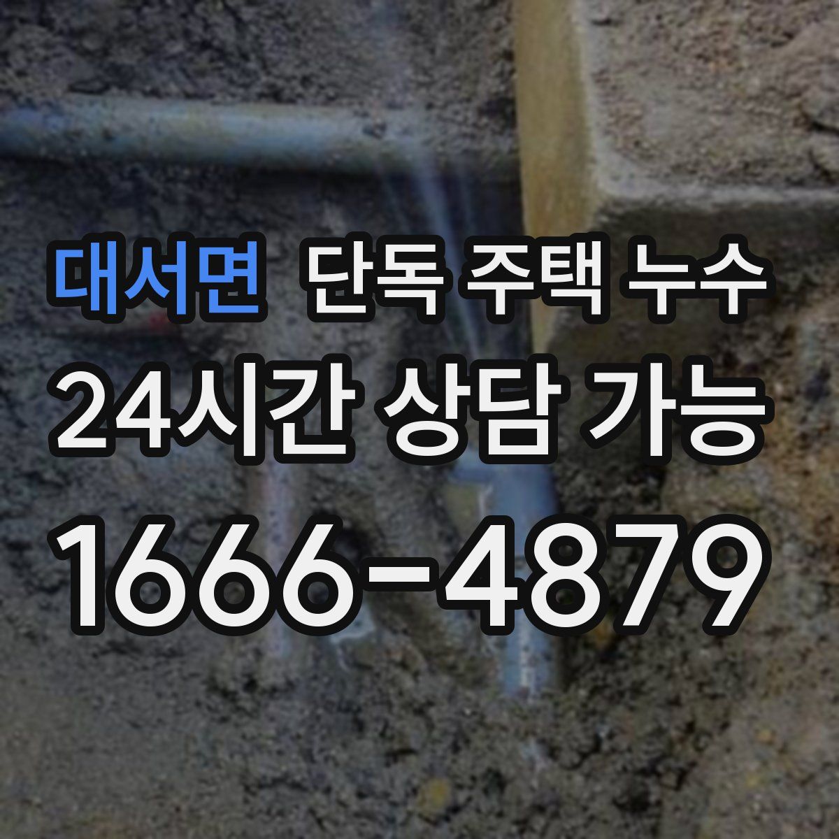 대서면 단독 주택 누수