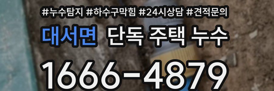 대서면 단독 주택 누수