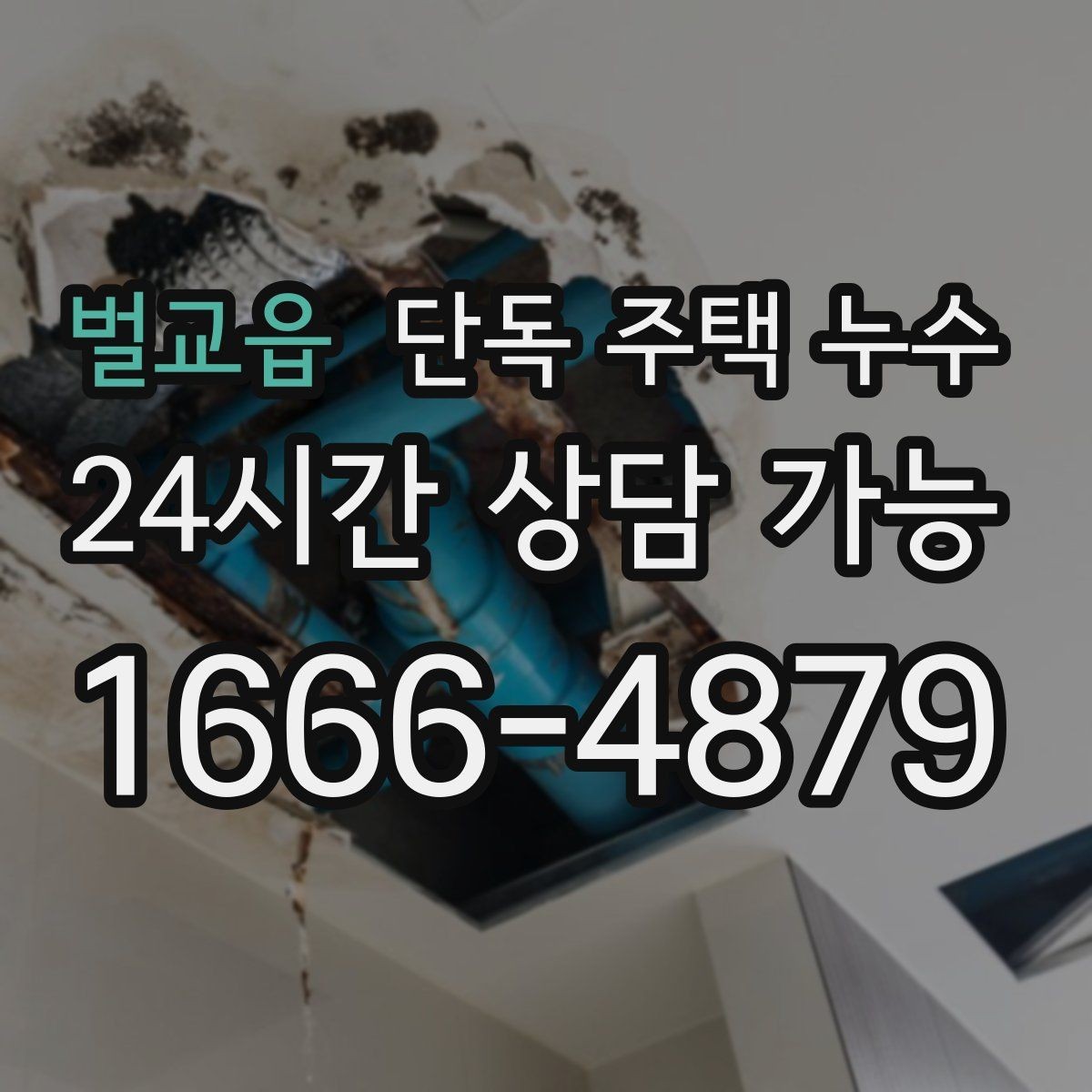 벌교읍 단독 주택 누수 처마 아래 물자국이 보이면 의심할 것