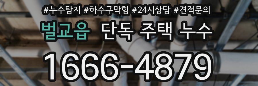 벌교읍 단독 주택 누수