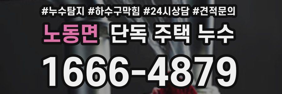 노동면 단독 주택 누수