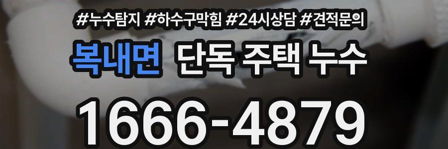 복내면 단독 주택 누수