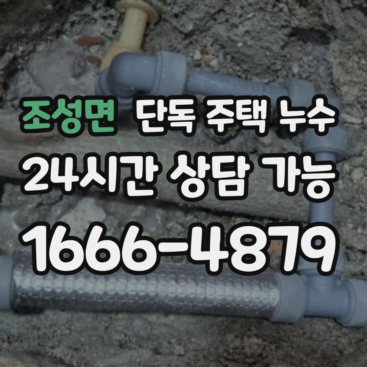 조성면 단독 주택 누수