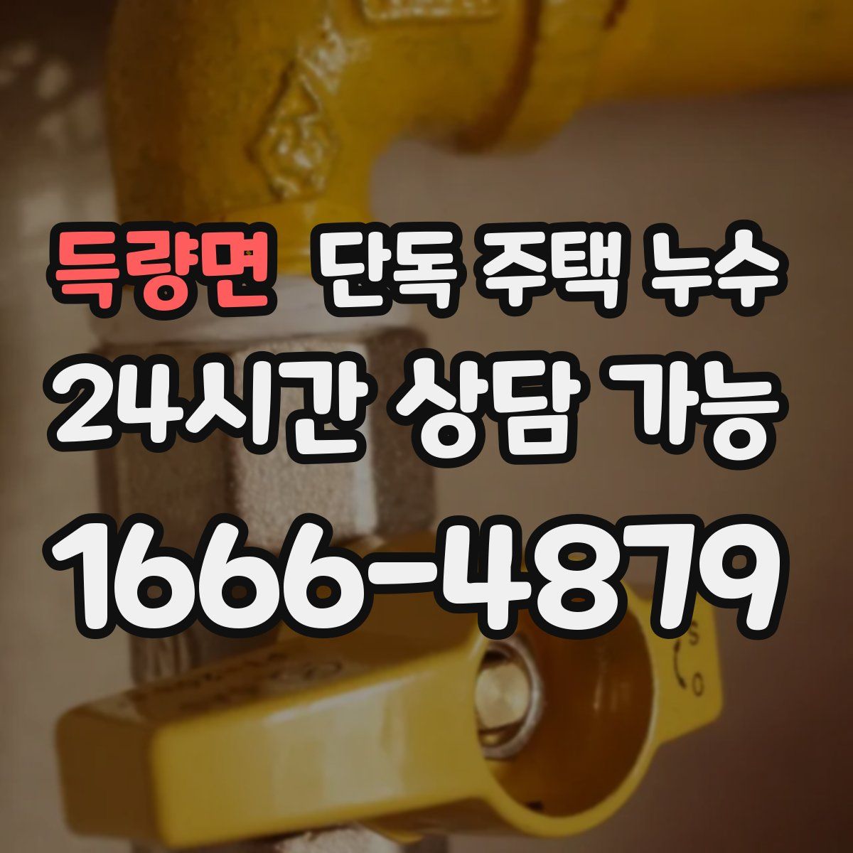 득량면 단독 주택 누수