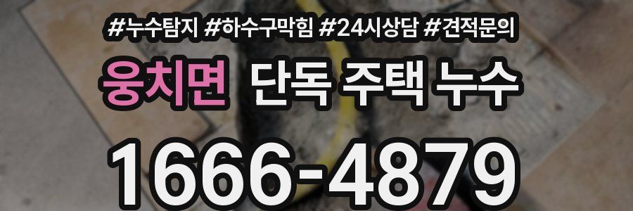 웅치면 단독 주택 누수