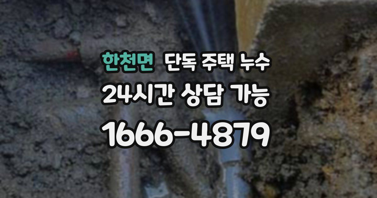 한천면 단독 주택 누수