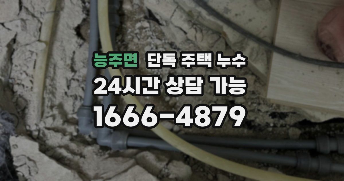 능주면 단독 주택 누수