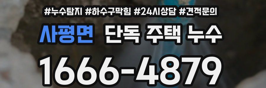 사평면 단독 주택 누수