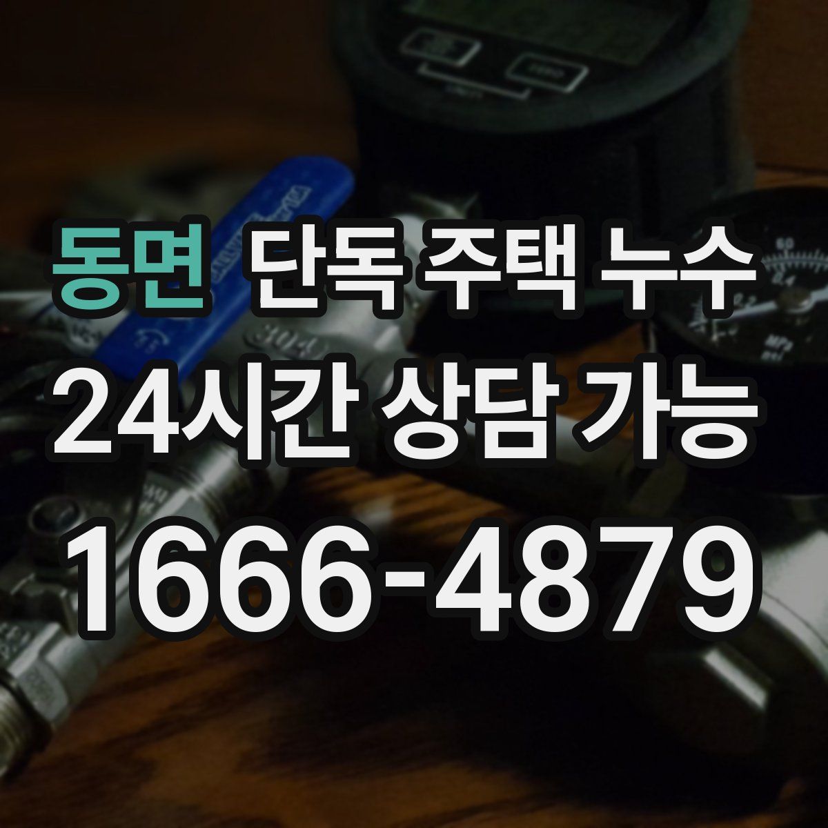 동면 단독 주택 누수