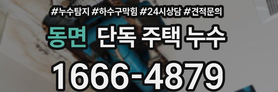 동면 단독 주택 누수