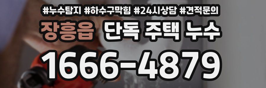 장흥읍 단독 주택 누수