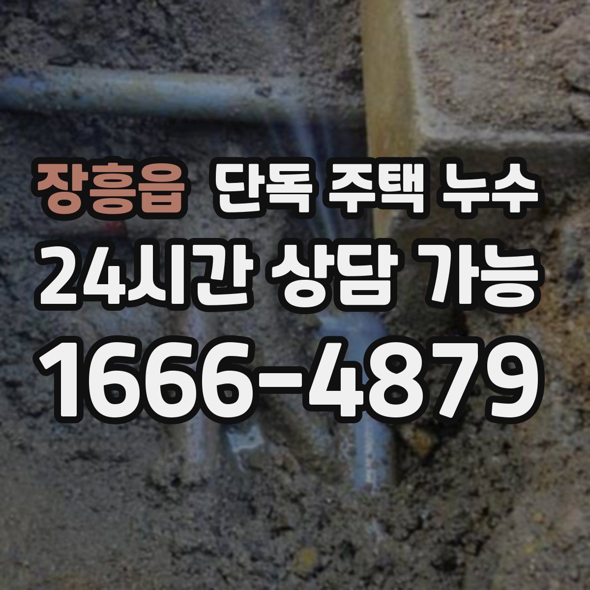 장흥읍 단독 주택 누수