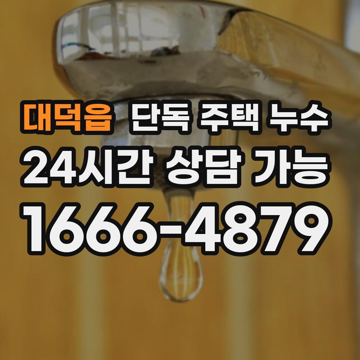 대덕읍 단독 주택 누수