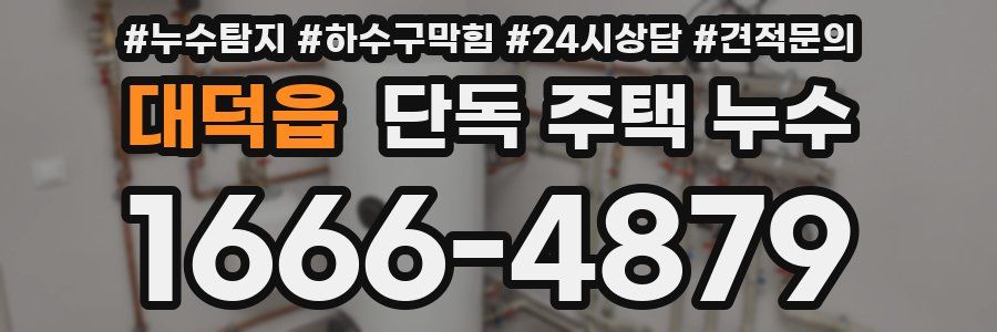 대덕읍 단독 주택 누수