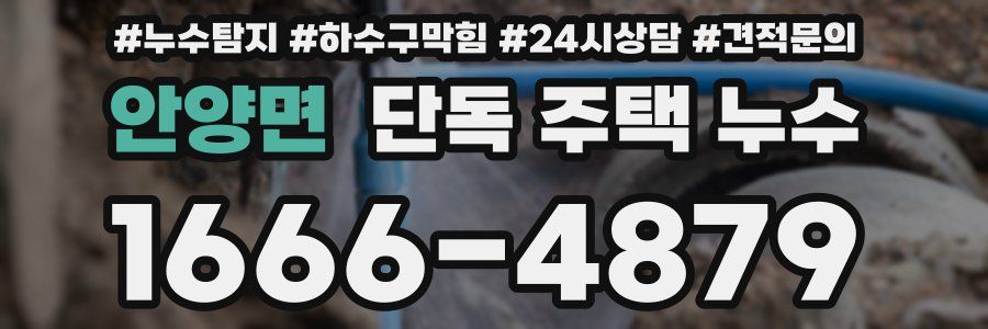 안양면 단독 주택 누수