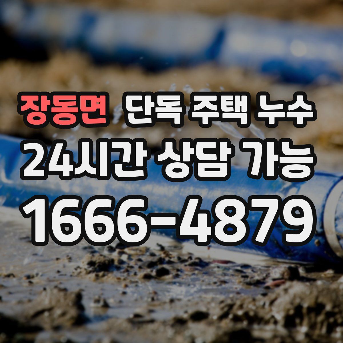 장동면 단독 주택 누수