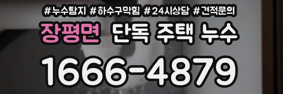 장평면 단독 주택 누수