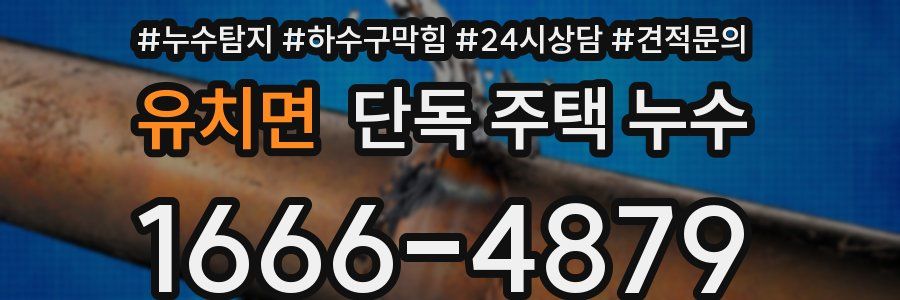 유치면 단독 주택 누수