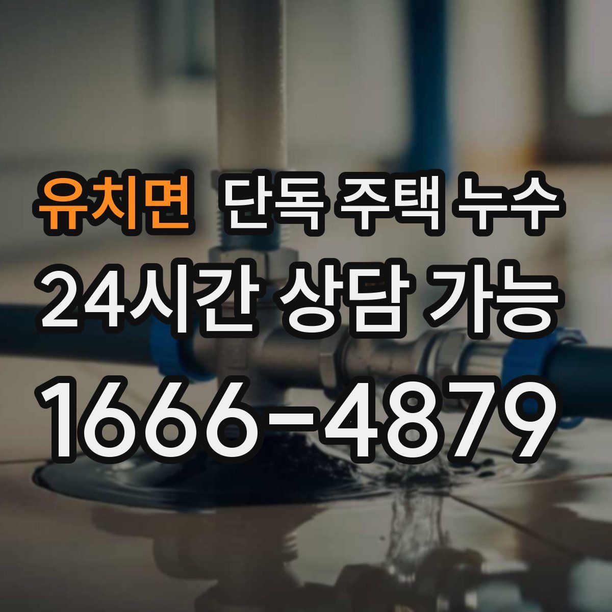 유치면 단독 주택 누수