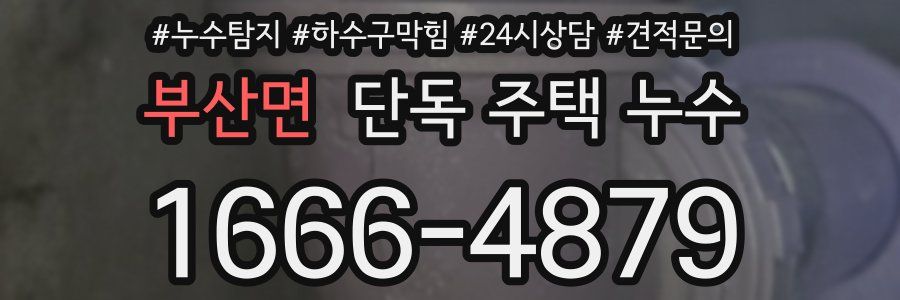 부산면 단독 주택 누수